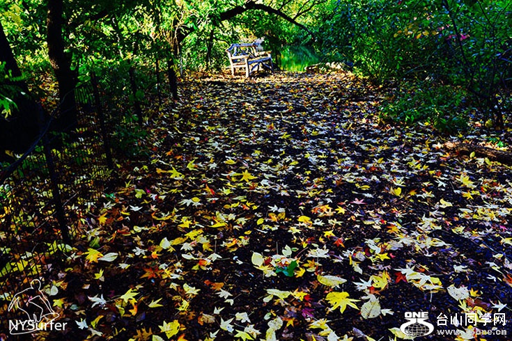 DSC_82014.jpg