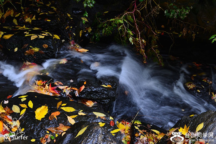 DSC_81866.jpg