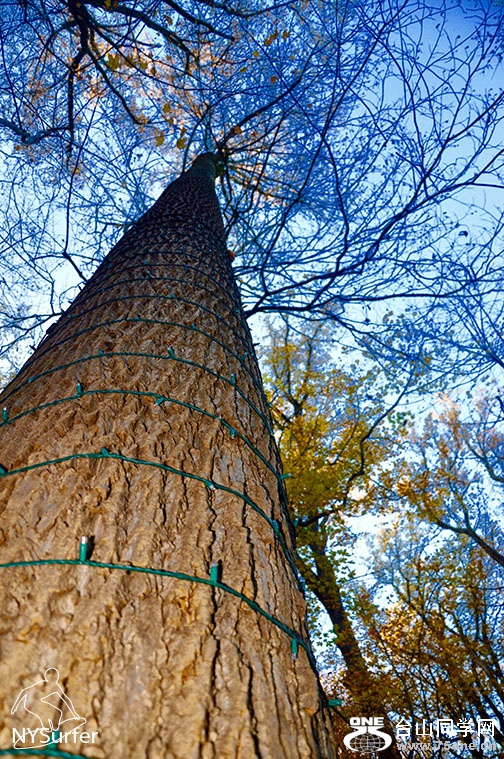 DSC_01164.jpg