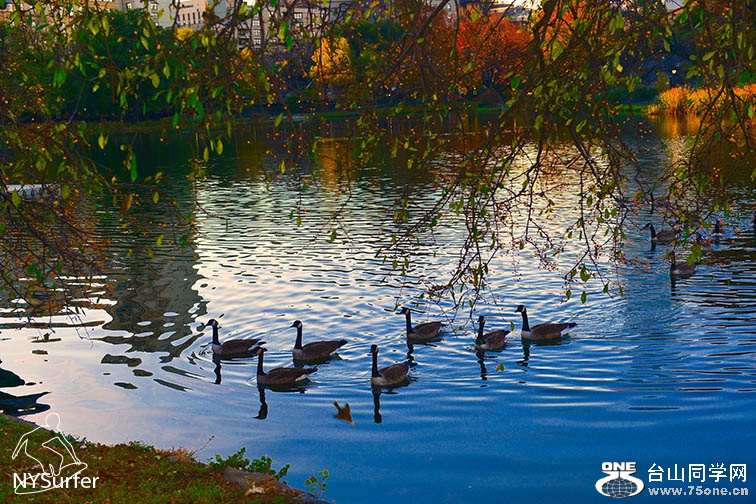 DSC_01602.jpg