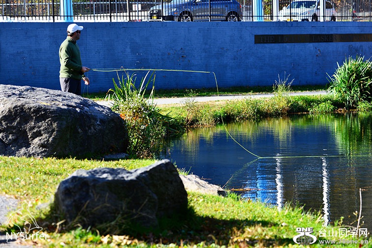 DSC_01953.jpg
