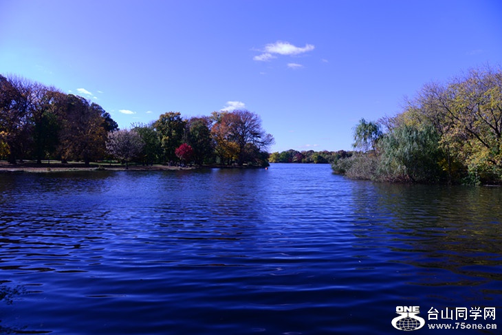 DSC_7833_.jpg