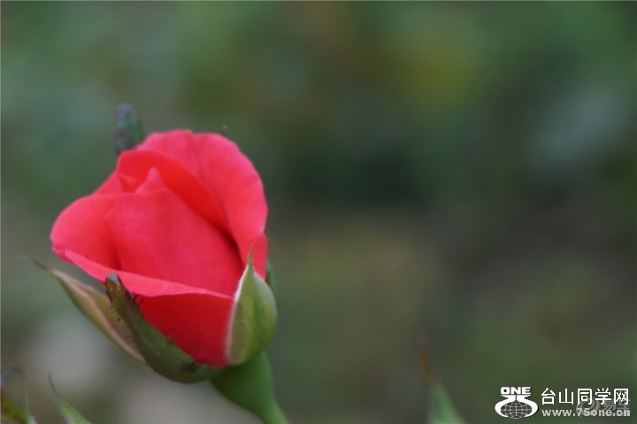 a4a7aec0fe7147ebb560fd2283069ce5_720_0_max_jpg.jpg