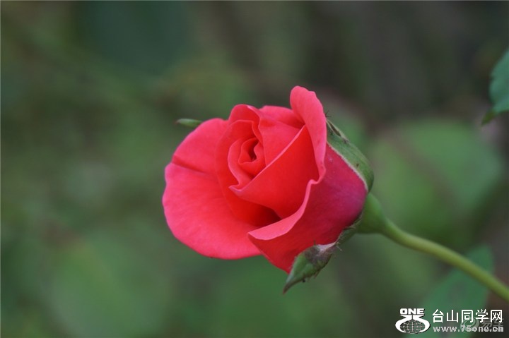 b7e61742b9964613a6e8486590108b3e_720_0_max_jpg.jpg