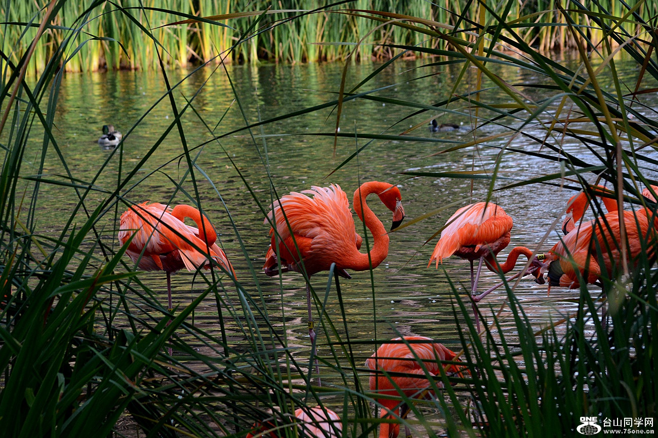 DSC_2057_42.jpg