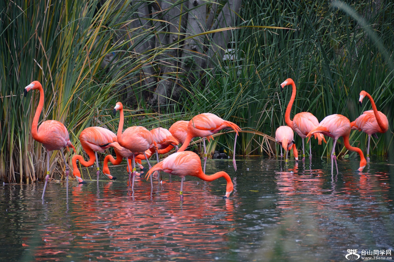 DSC_0970_01.jpg