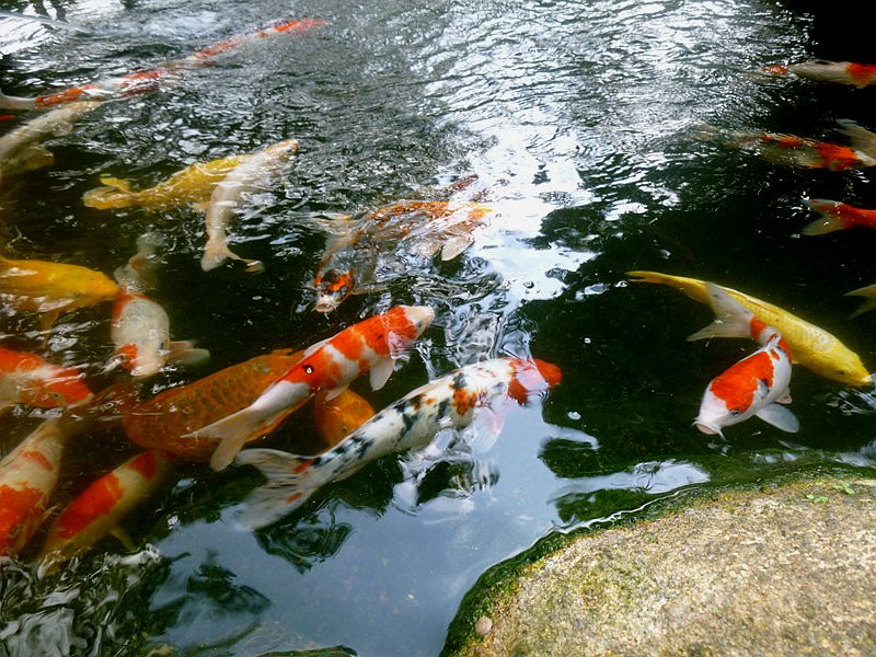 DSC_0024.jpg