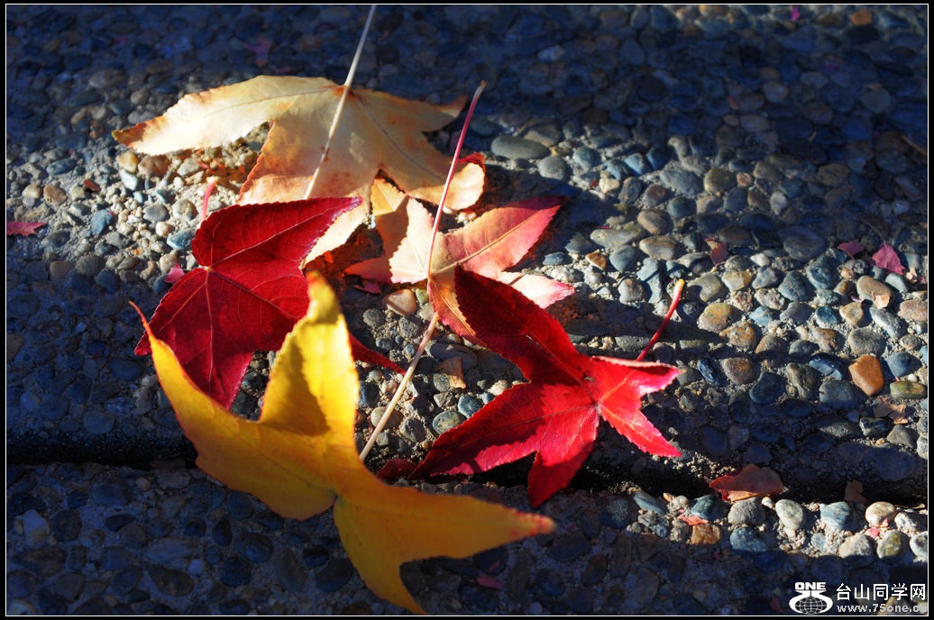 DSC_9408.jpg