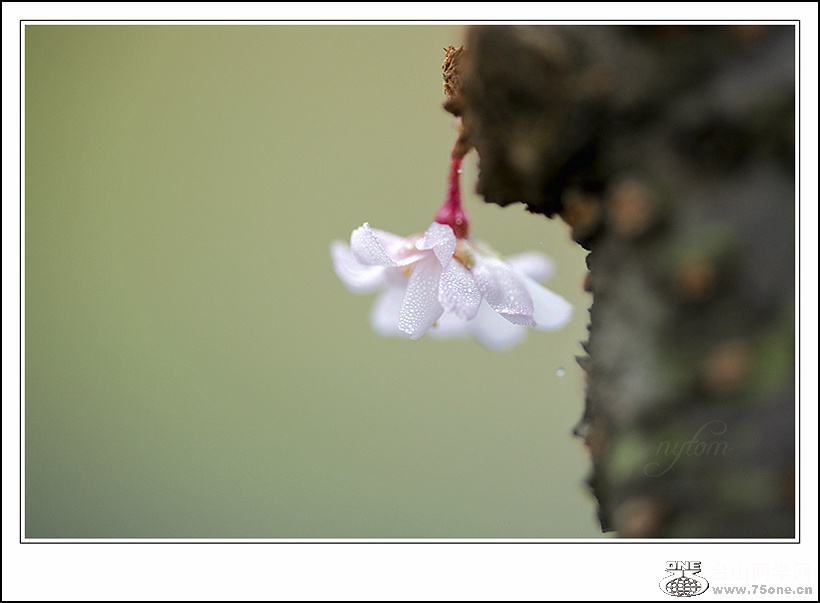 DSC_7075_.jpg