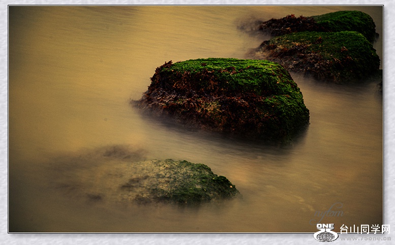 DSC_4792_.jpg