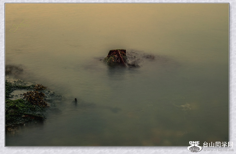 DSC_4817_.jpg
