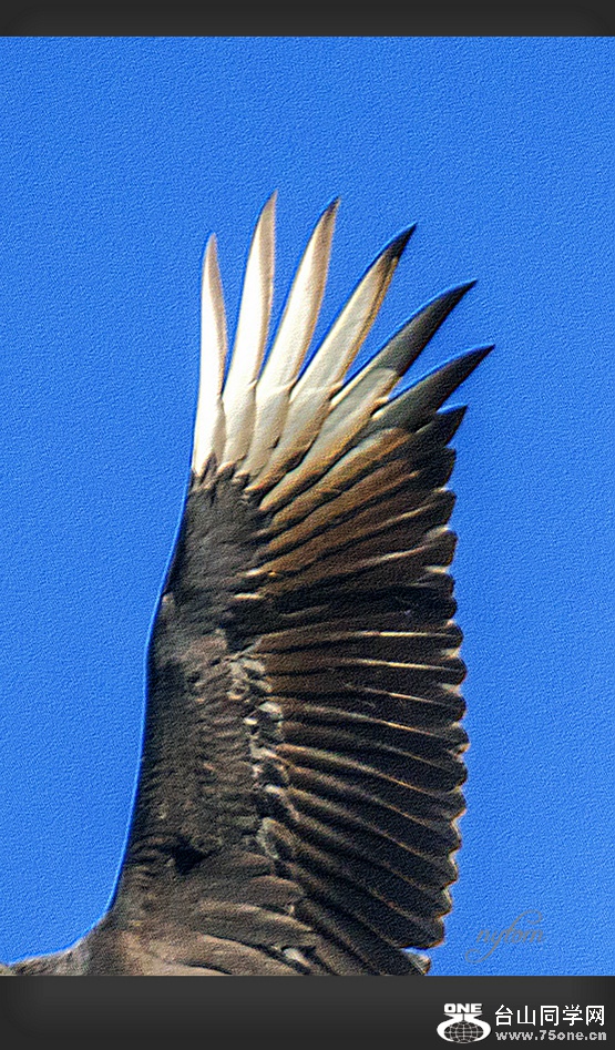 DSC_1959_..jpg