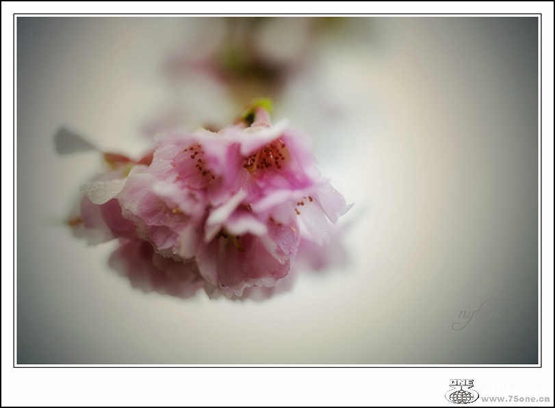 DSC_7103_.jpg