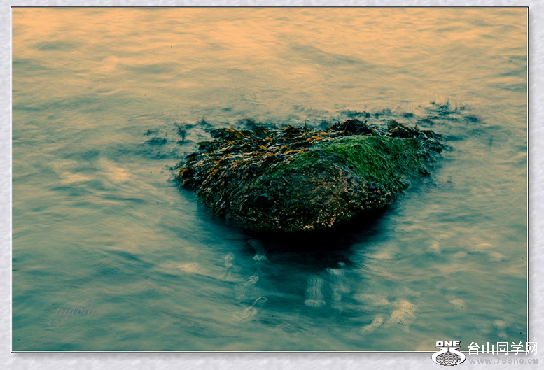 DSC_5014_.jpg