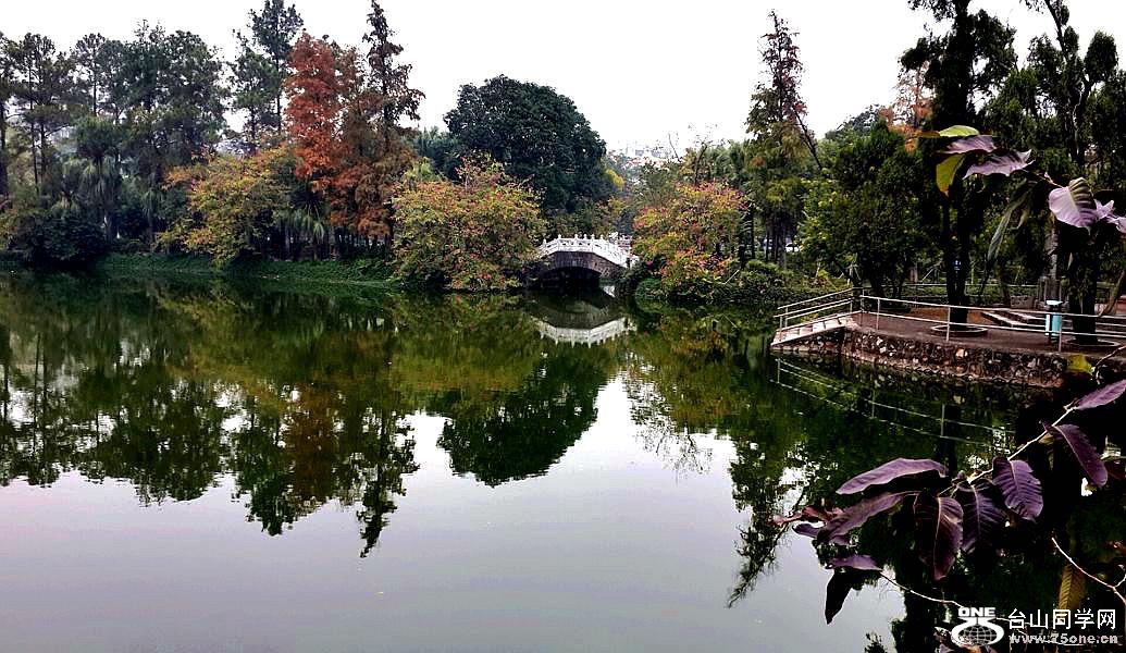 2015-12-22 15.08.06.jpg