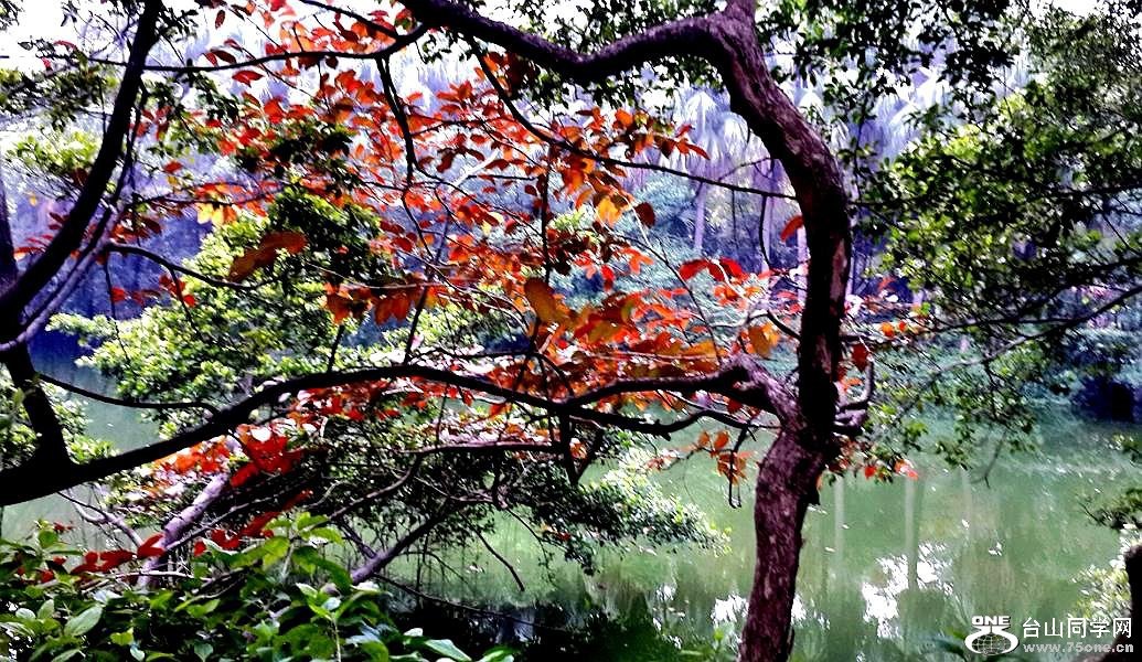 2015-12-22 15.06.57.jpg