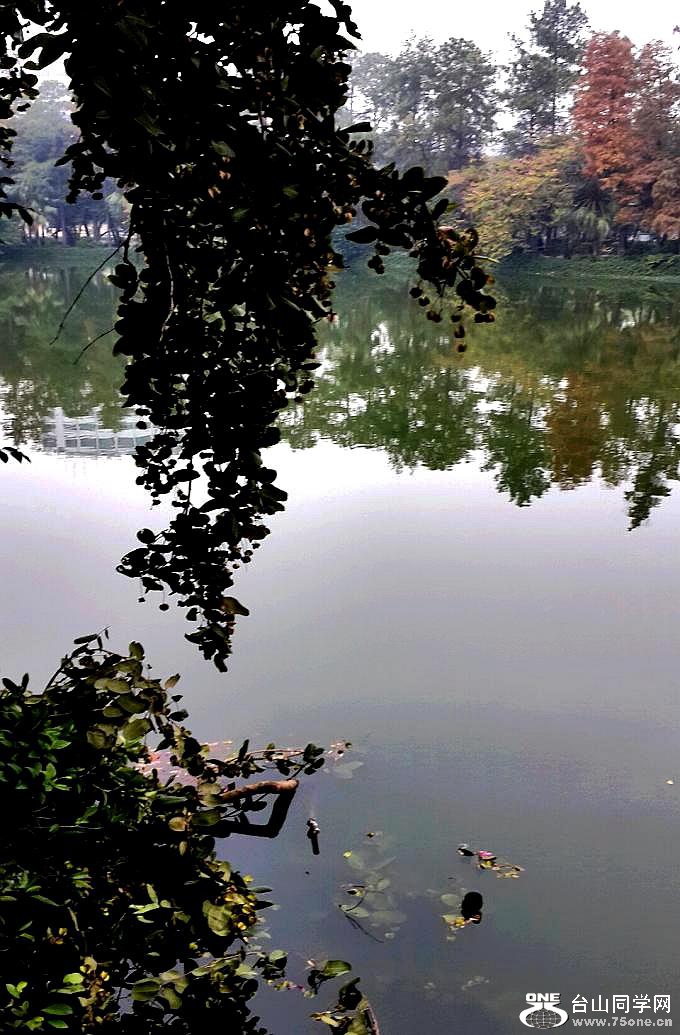 2015-12-22 15.07.43.jpg