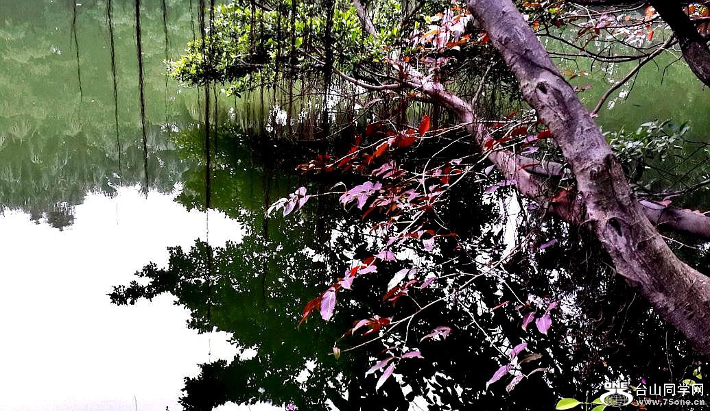 2015-12-22 15.06.31.jpg