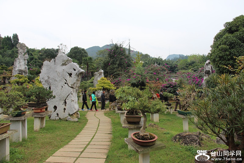 ������ 298_����.jpg