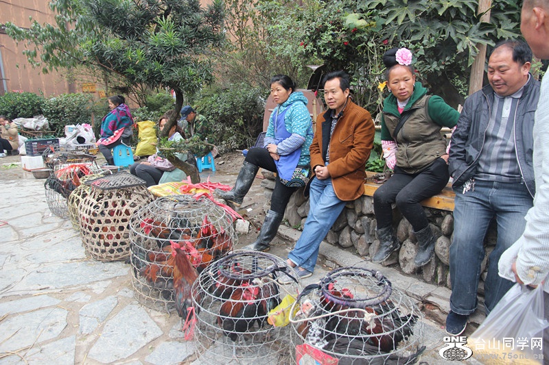 ������ 225_����.jpg