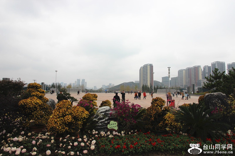 ������ 446_����.jpg