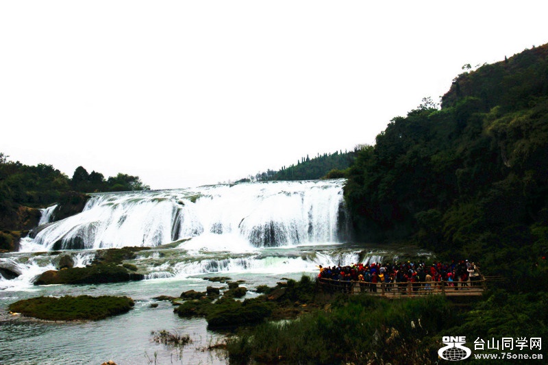 ������ 260_����.jpg