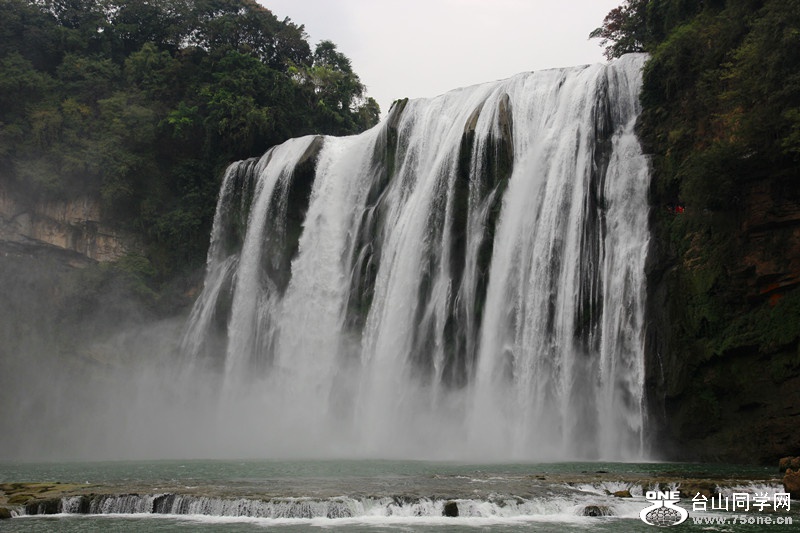 ������ 313_����.jpg