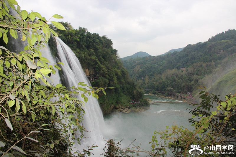 ������ 361_����.jpg