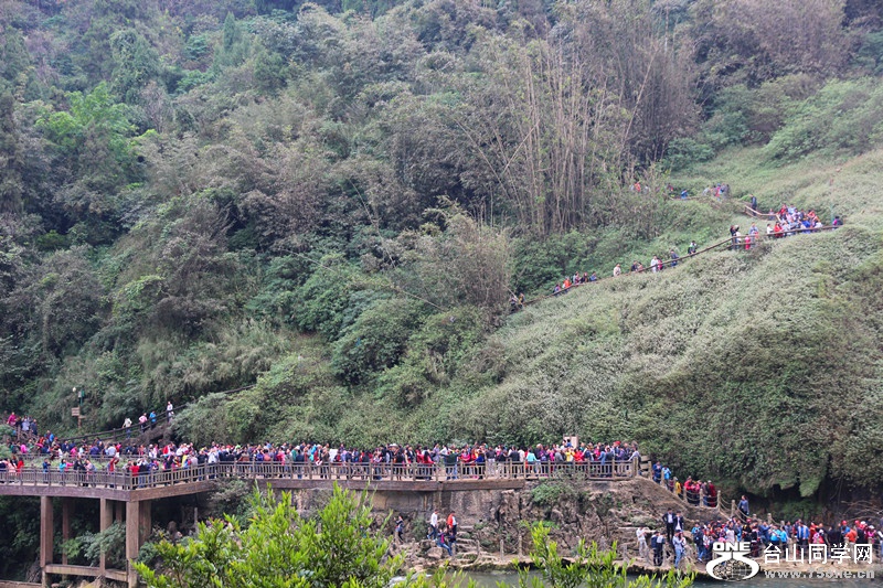 ������ 339_����.jpg