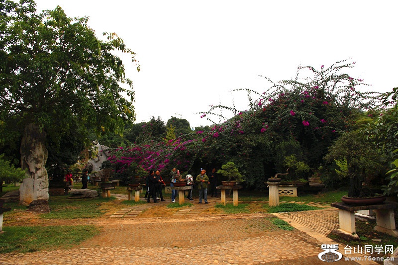 ������ 302_����.jpg