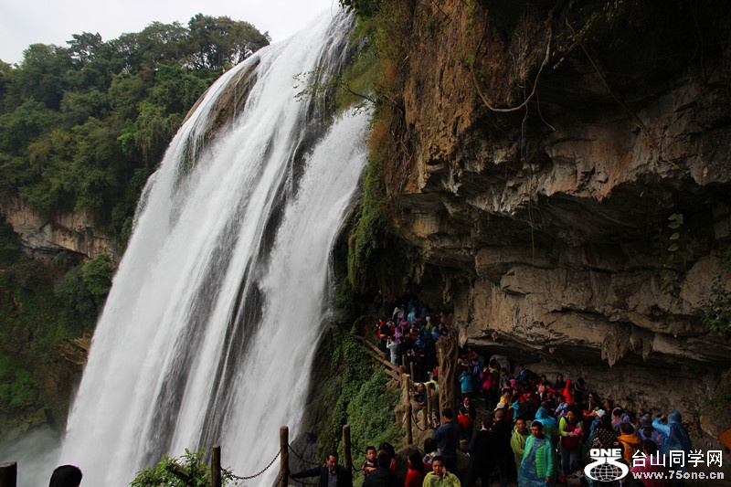 ������ 343_����.jpg