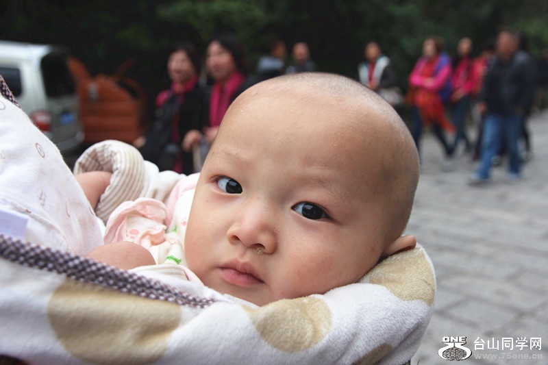 ������ 240_����.jpg