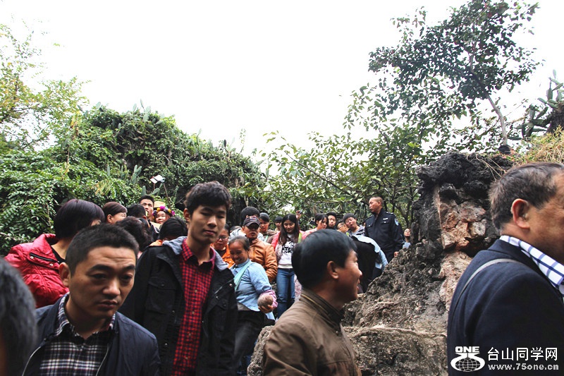 ������ 282_����.jpg