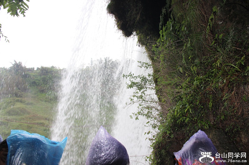 ������ 348_����.jpg