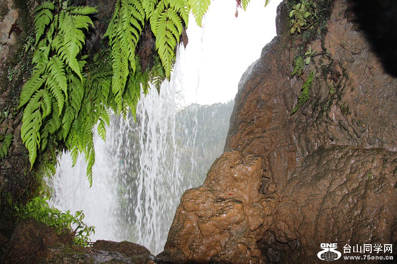 ������ 346_����.jpg