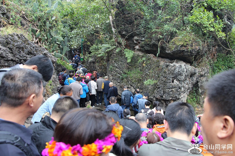 ������ 281_����.jpg