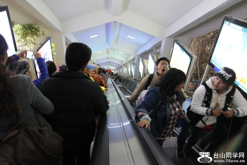 ������ 305_����.jpg