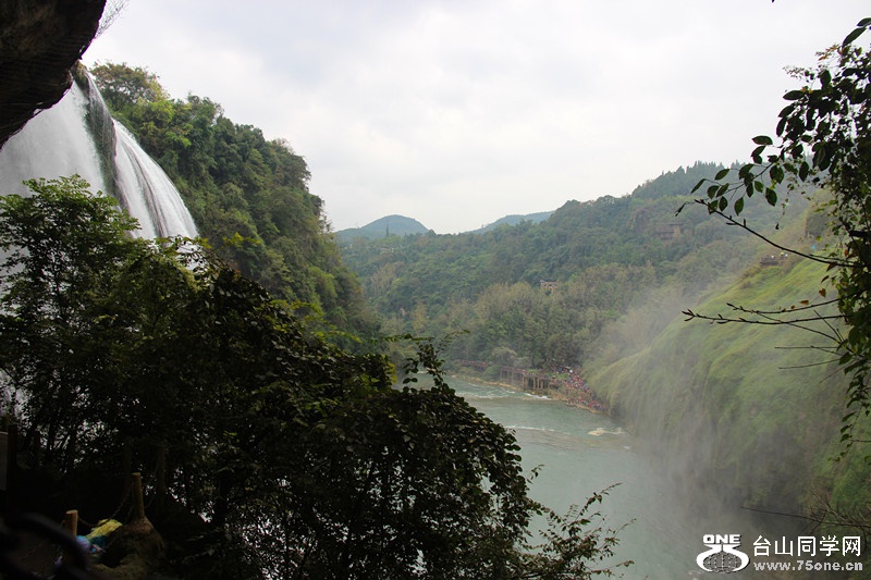 ������ 363_����.jpg