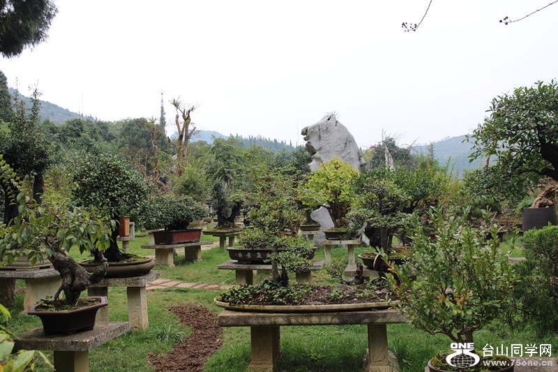 ������ 297_����.jpg