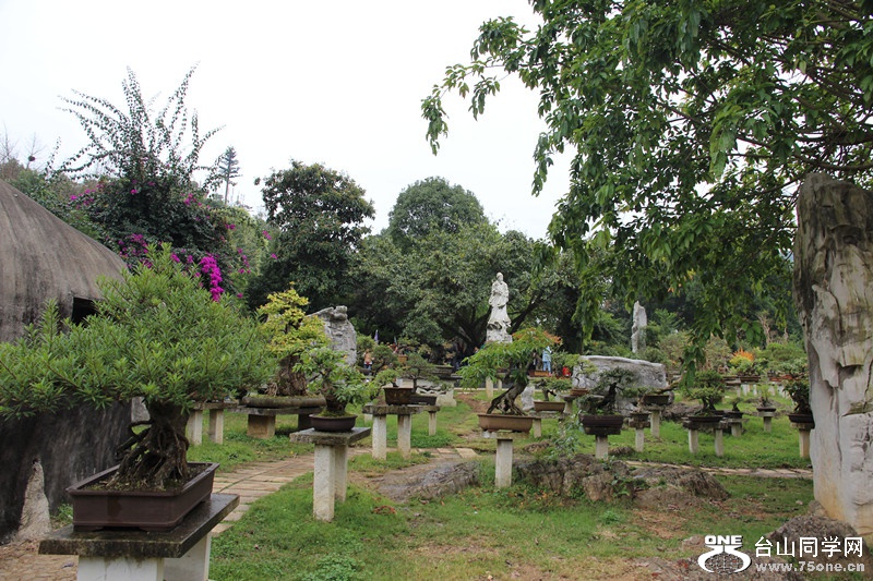 ������ 303_����.jpg