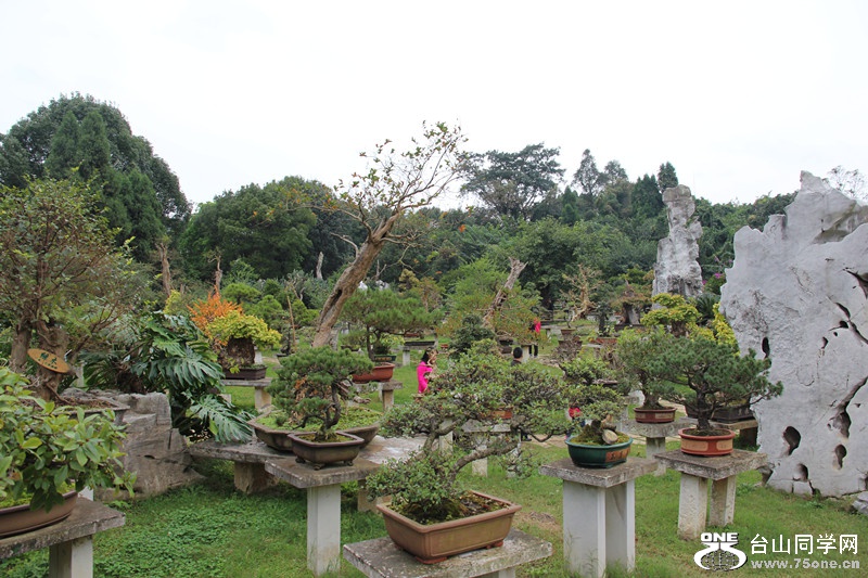 ������ 299_����.jpg