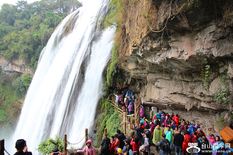 ������ 341_����.jpg