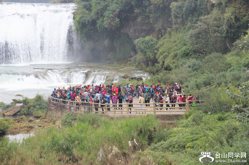 ������ 259_����.jpg