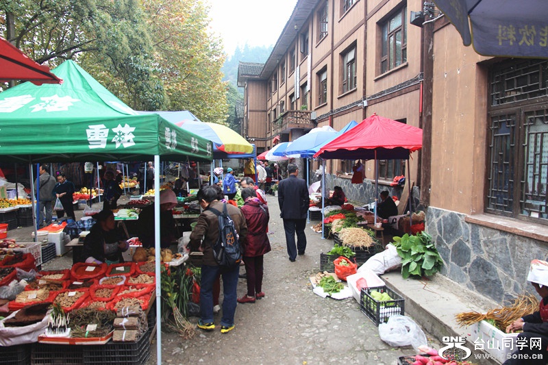 ������ 228_����.jpg