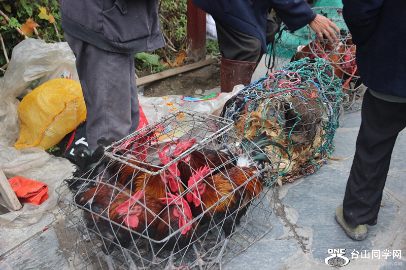 ������ 231_����.jpg