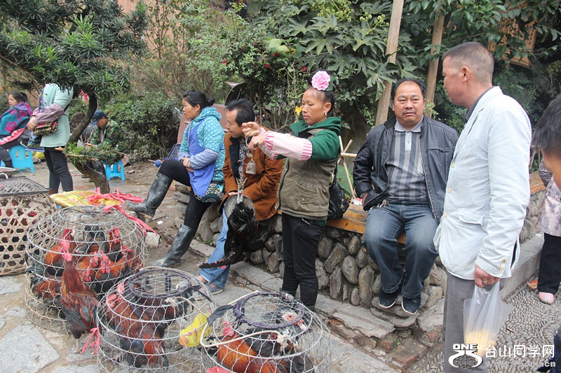 ������ 226_����.jpg