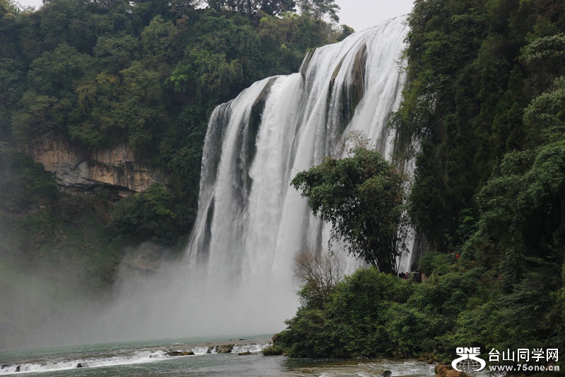 ������ 310_����.jpg