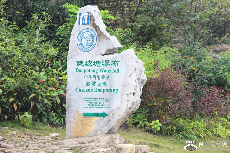 ������ 254_����.jpg