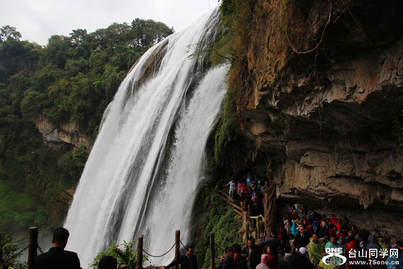 ������ 342_����.jpg