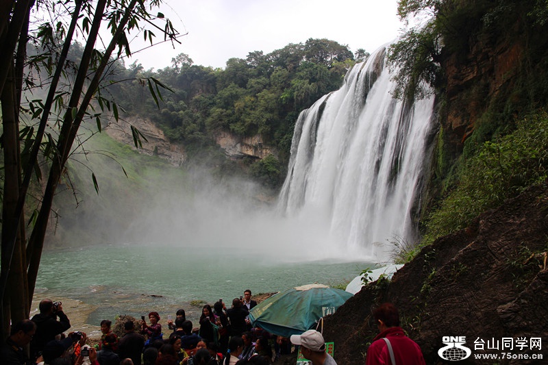 ������ 337_����.jpg